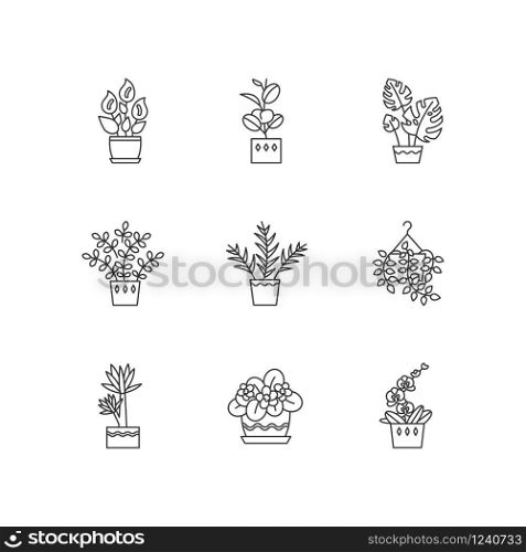 Domesticated plants pixel perfect linear icons set. Houseplants. Violet, ficus, monstera. Lily, pothos. Customizable thin line contour symbols. Isolated vector outline illustrations. Editable stroke