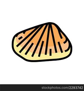 donax clam color icon vector. donax clam sign. isolated symbol illustration. donax clam color icon vector illustration