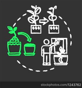 Dont move plants chalk RGB color concept icon. Houseplants caring. Floriculture tip. Flowers acclimatization idea. Vector isolated chalkboard illustration on black background