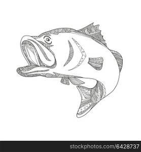 Doodle art illustration of a barramundi or Asian sea bass (Lates calcarifer), a species of catadromous fish jumping in black and white done in mandala style.. Barramundi Jumping Doodle Art