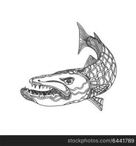 Doodle art illustration of barracuda, a saltwater ray-finned fish of the genus Sphyraena known for its large size, fearsome appearance and ferocious behaviour done in black and white mandala style.. Barracuda Fish Doodle Art