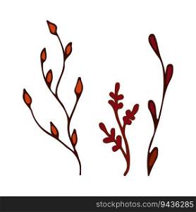 Doodle autumn colors twig branches element. Twig plant, herb. Vector illustration orange and red. Hand drawn branches on white background. Design element for natural and organic designs.. Doodle autumn colors twig branches element. Twig plant, herb. Vector illustration orange and red.