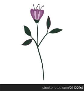 Doodle flower isolated. Hand drawn botanical print. Vector illustration. Doodle flower isolated. Hand drawn botanical print