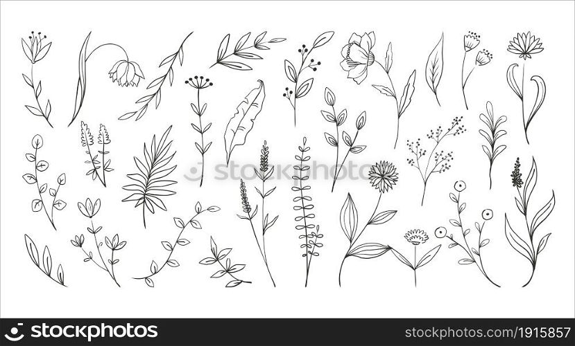 Doodle forest plants. Hand drawn simple flowers. Foliage and wood ferns. Decorative floral sketch. Engraving stems with leaves and blooms. Botanical graphic elements. Vector isolated meadow herbs set. Doodle forest plants. Hand drawn simple flowers. Foliage and wood ferns. Decorative floral sketch. Engraving stems with leaves and blooms. Botanical elements. Vector meadow herbs set