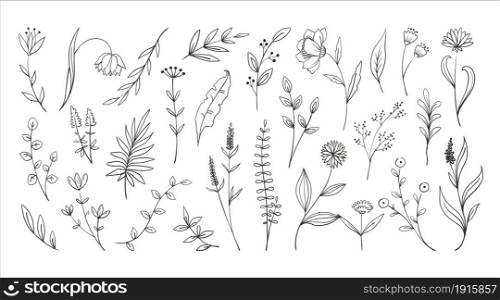 Doodle forest plants. Hand drawn simple flowers. Foliage and wood ferns. Decorative floral sketch. Engraving stems with leaves and blooms. Botanical graphic elements. Vector isolated meadow herbs set. Doodle forest plants. Hand drawn simple flowers. Foliage and wood ferns. Decorative floral sketch. Engraving stems with leaves and blooms. Botanical elements. Vector meadow herbs set