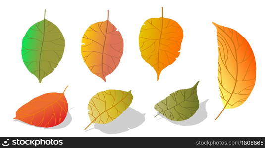 doodle gradient apple tree leaves isolated on white background. Autumn fallen leaves of apple tree. Harvesting. Vector