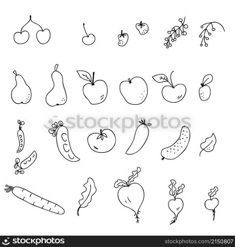 Doodle harvest vegetables and fruits contour icons collection. Perfect for poster, stickers and print. Hand drawn vector illustration for decor and design.
