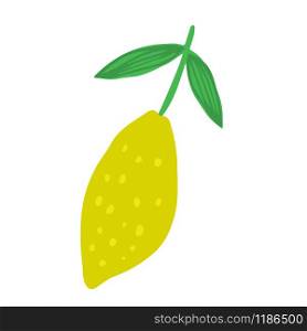 Doodle lemon isolated on white background. Summer fruit vector illustration. Hand drawn fresh organic citrus.. Doodle lemon isolated on white background. Summer fruit vector illustration.