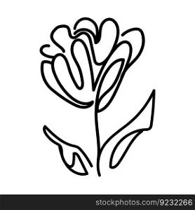 Doodle linear flower illustration isolated on white icon outline sketch rose peony one line art beauty logo illustration