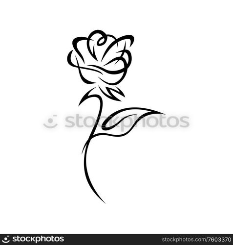 Doodle of rose flower isolated monochrome plant. Vector floral tattoo design, blooming bud with leaf. Rose flower isolated doodle, tattoo design