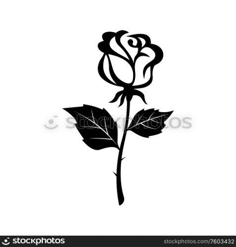 Doodle of rose flower isolated monochrome plant. Vector floral tattoo design, blooming bud with leaf. Rose flower isolated doodle, tattoo design
