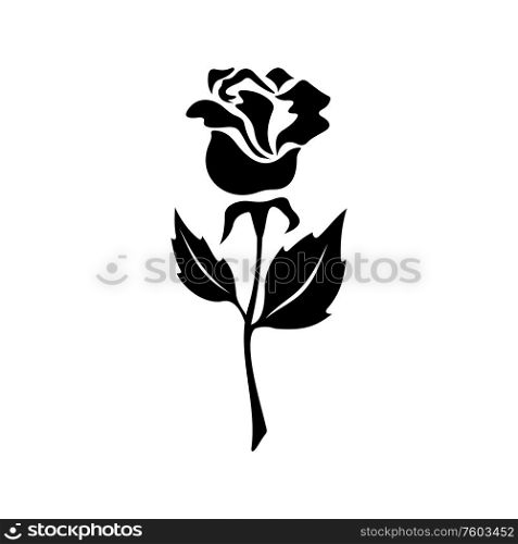 Doodle of rose flower isolated monochrome plant. Vector floral tattoo design, blooming bud with leaf. Rose flower isolated doodle, tattoo design