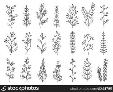 Doodle plants. Linear decorative forest branches with leaves and flowers, floral cartoon sketches for greeting cards and invitation. Vector isolated set. Wild botanical herbs for minimalistic design. Doodle plants. Linear decorative forest branches with leaves and flowers, floral cartoon sketches for greeting cards and invitation. Vector isolated set