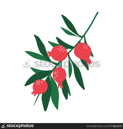 Doodle red pomegranate branch and leaves isolated on white background. Hand drawn fresh organic summer fruit. Simple cute cartoon design. Vector sketch illustration.. Doodle red pomegranate branch and leaves isolated on white background.