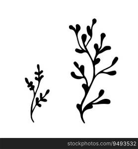 Doodle single twig branch element. Dry twig plant, herb. Vector silhouette illustration. Hand drawn branches. Black on white background. Design element for natural and organic designs.. Doodle single twig branch element. Dry twig plant, herb. Vector silhouette illustration