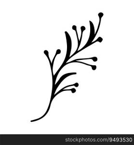 Doodle single twig branch with berries element. Dry twig plant, herb. Vector silhouette illustration. Hand drawn branches. Black on white background. Design element for natural and organic designs.. Doodle single twig branch with berries element. Dry twig plant, herb. Vector silhouette illustration