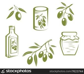 Doodle sketches of fresh healthy olives on twigs, bottled and preserved olives and olive oil