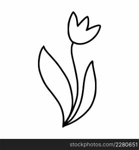 Doodle style tulip icon. Sketch of bell flower.