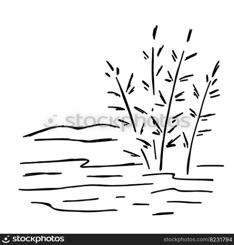 Doodle sw&. Sketch of natural pond or lake with reeds and sedge. Line design. Doodle sw&. Sketch of natural pond