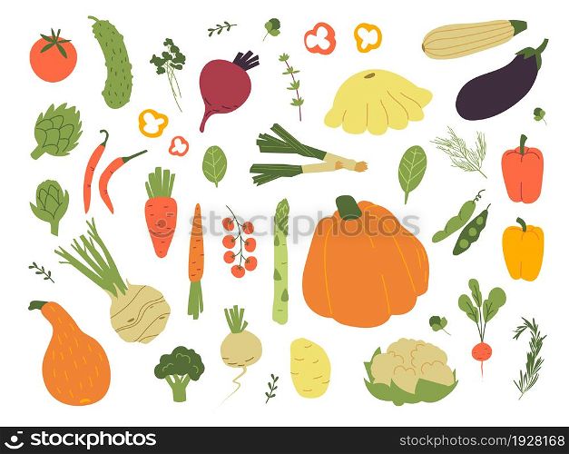 Doodle vegetables. Colorful raw vegetable, hand drawn food. Flat beet, carrot, pumpkin tomato onion. Fresh agriculture vegetarian vector set. Illustration of raw food and natural organic healthy. Doodle vegetables. Colorful raw vegetable, hand drawn food. Flat beet, carrot, pumpkin tomato onion. Fresh agriculture vegetarian classy vector set