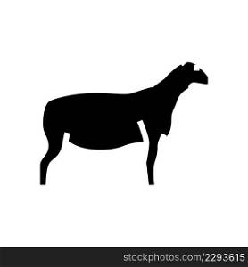 dorper sheep glyph icon vector. dorper sheep sign. isolated contour symbol black illustration. dorper sheep glyph icon vector illustration