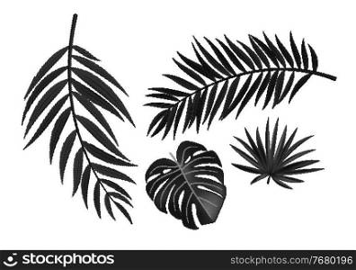 Dotted vibrant bold element of natural halftones palm leaves. Vector Illustration. Dotted vibrant bold element of natural halftones palm leaves. Vector Illustration EPS10