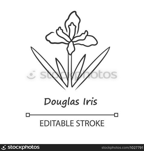 Douglas iris plant linear icon. California blooming wildflower with name. Garden flower. Iris douglasiana. Spring blossom. Thin line illustration. Vector isolated outline drawing. Editable stroke