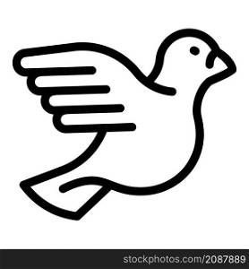 Dove bird icon. Outline dove bird vector icon for web design isolated on white background. Dove bird icon, outline style
