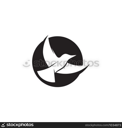 Dove bird logo and symbol