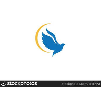 Dove Bird Logo Template vector