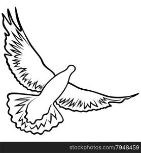 Dove in flight with widely outstretched wings, outline vector illustration