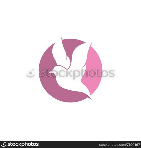 Dove logo template vector icon illustration design