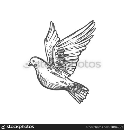 Dove of peace, Christian religious symbol of easter and belief. Vector Christianity Orthodox and Catholic religion pigeon bird icon. Christianity religion icon, dove of peace