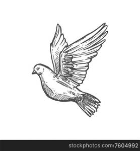 Dove of peace, Christian religious symbol of easter and belief. Vector Christianity Orthodox and Catholic religion pigeon bird icon. Christianity religion icon, dove of peace