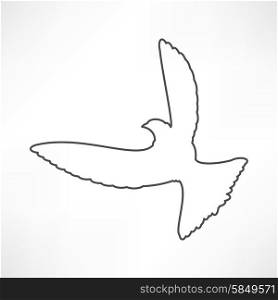 Dove of Peace illustration
