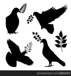 Dove of peace vector silhouetes. Pigeon with branch isolated on white background illustration. Dove of peace vector silhouetes. Pigeon with branch isolated
