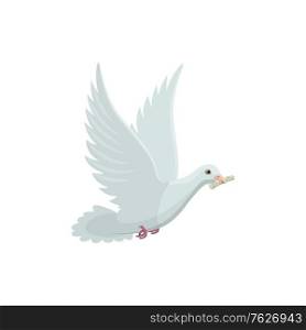 Dove with roll of newspaper in beak vector isolated icon. White pigeon, bird delivering mail. Newspaper in beak of dove vector