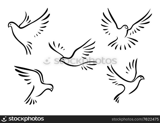 Doves and pigeons set for peace concept and wedding design