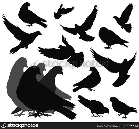Doves silhouettes collection. Vector EPS 8. Vector doves