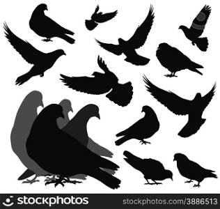 Doves silhouettes collection. Vector EPS 8. Vector doves