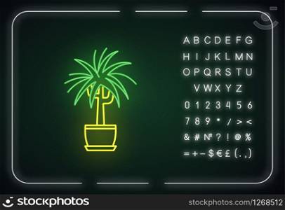 Dracaena neon light icon. Potted ornamental houseplant. Dragon tree. Plant with spiky leaves. Outer glowing effect. Sign with alphabet, numbers and symbols. Vector isolated RGB color illustration