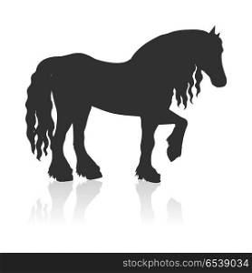 Draft Horse Vector Illustration in Flat Design. Black draft horse with curly mane vector. Flat design. Domestic animal. Country inhabitants concept. For farming, animal husbandry, horse sport illustrating. Agricultural species. Isolated on white
