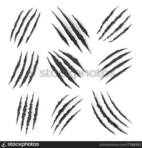Dragon, bear or tiger claw marks and torn scratches, vector. Cracks form animal claw scratches, wild beast paw marks with sharp fissures texture, damaged breaks and hollow scraps, black on white. Claw scratches marks of dragon, bear, tiger beast