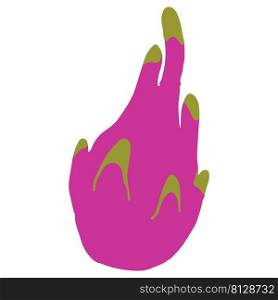 dragon fruit pitaya hand drawn illustration in organic style isolated. dragon fruit pitaya hand drawn illustration in organic style