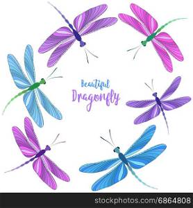 Dragonflies in flight. Vector illustration of dragonfly on a white background. Brightly colored dragonflies in flight