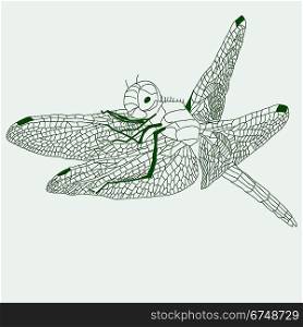 dragonfly drawing , vector.