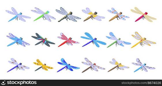 Dragonfly icons set isometric vector. Nature animal. Bug fly. Dragonfly icons set isometric vector. Nature animal