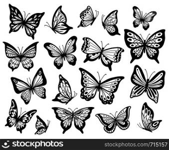 Drawing butterflies. Stencil butterfly, moth wings and flying insects. Butterflies tattoo sketch, fly insect black hand drawn engraving. Isolated vector illustration icons set. Drawing butterflies. Stencil butterfly, moth wings and flying insects isolated vector illustration set
