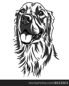 Drawing line art of labrador retriever dog isolated on white, vector illustration.