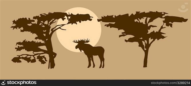 drawing moose on background sun